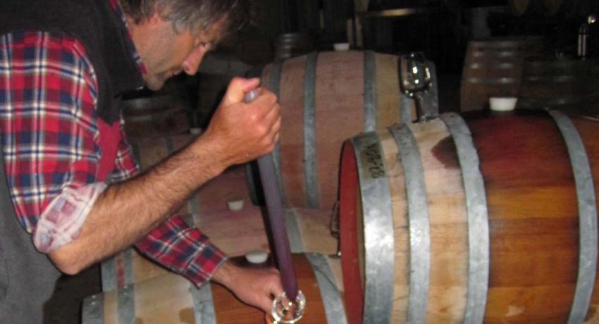 Peregrine Ridge Wines