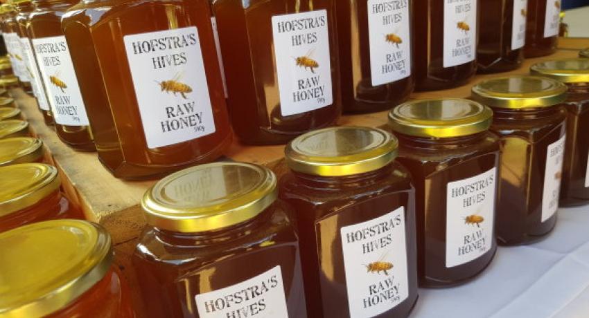 Hofstra Hives